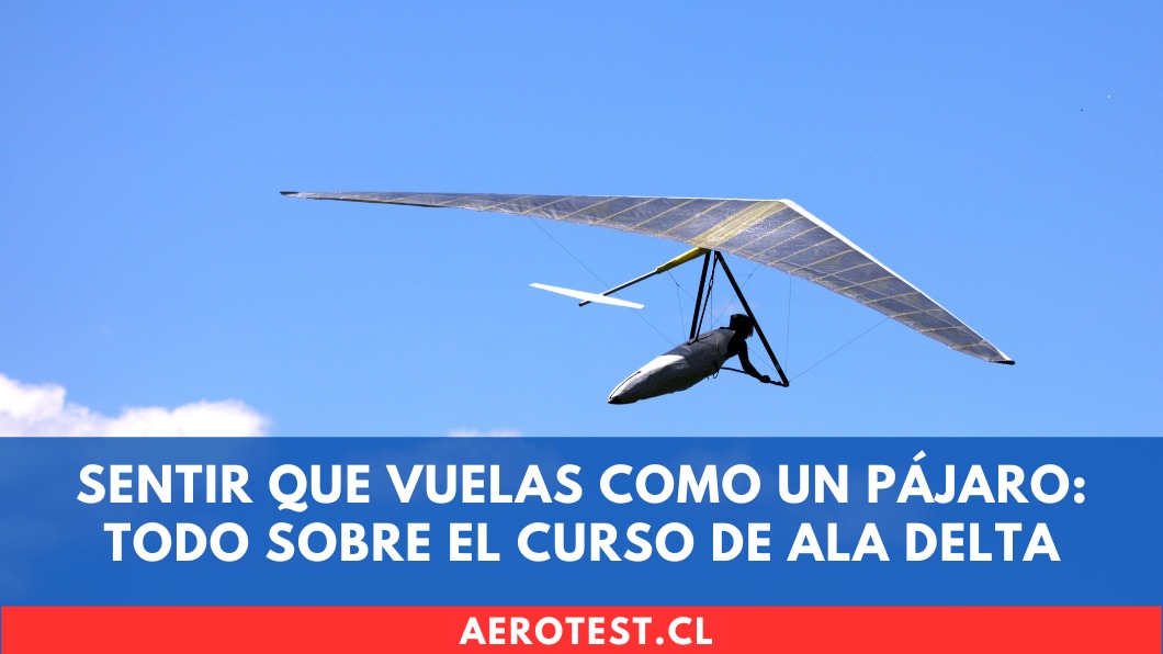 Sentir que vuelas como un pájaro: Todo sobre el curso de Ala Delta (UL) en Chile