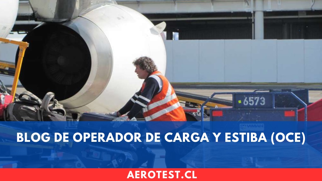 Operador de carga y estiba (OCE)