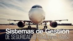 ¿Qué busca promover la DAN 19 en las organizaciones aeronáuticas?