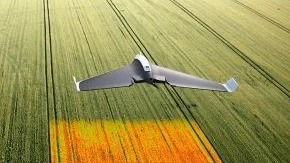 Imagen de la pregunta