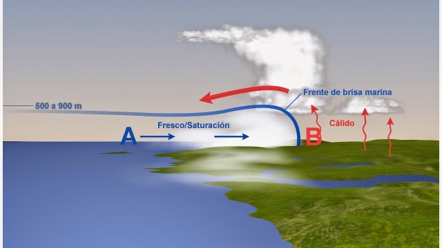 Para que la formación de niebla sea probable, debe existir: