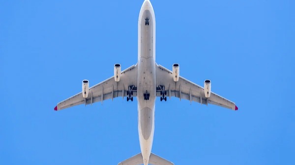 Imagen de la pregunta