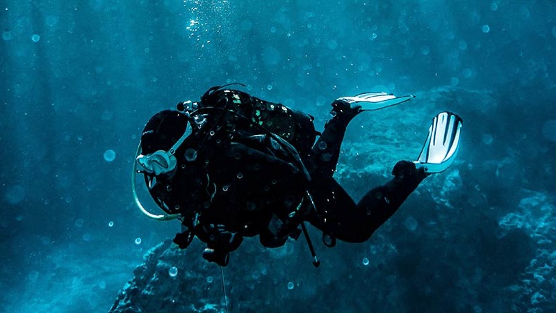 Imagen de la pregunta