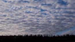 Imagen de la pregunta