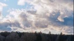 Imagen de la pregunta