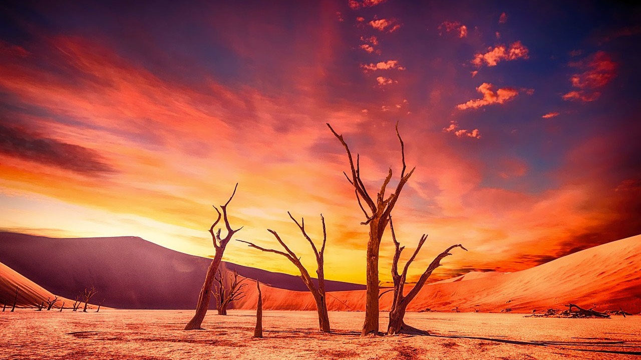 Imagen de la pregunta