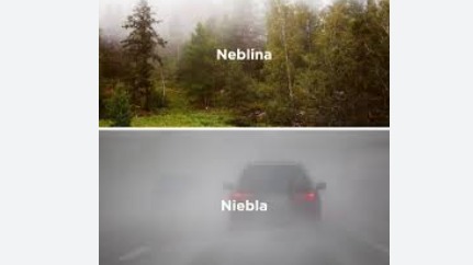 Imagen de la pregunta