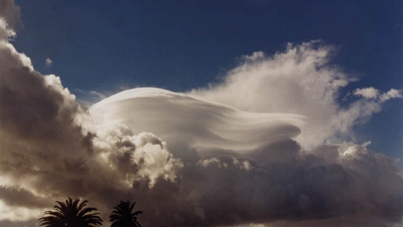 Imagen de la pregunta