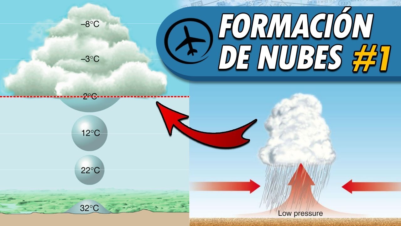 Imagen de la pregunta