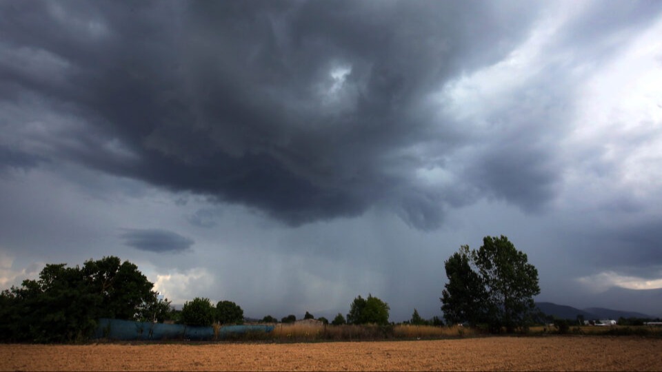 Imagen de la pregunta