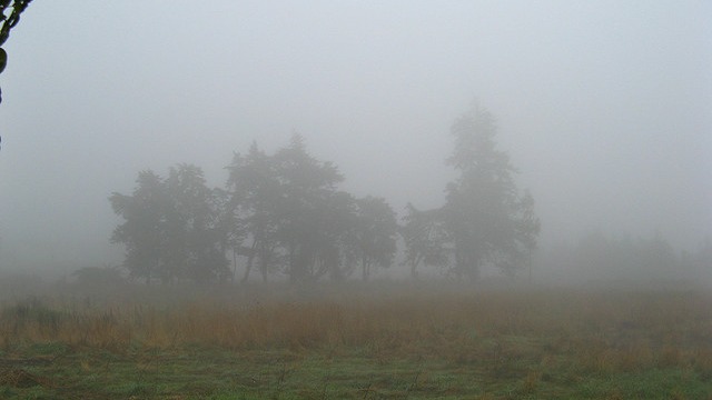 Imagen de la pregunta