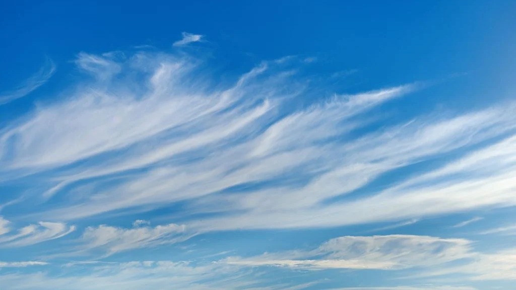 Imagen de la pregunta