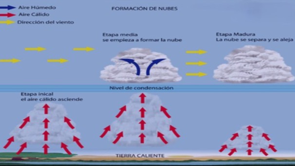 Imagen de la pregunta