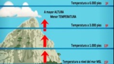 Imagen de la pregunta