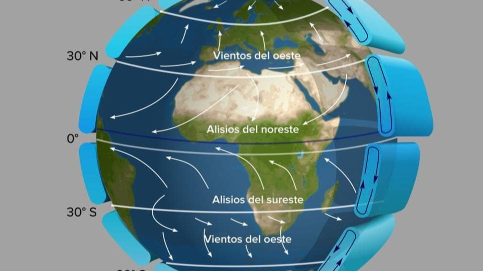 Imagen de la pregunta
