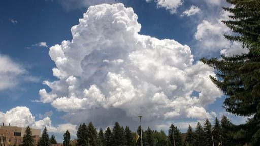 Imagen de la pregunta