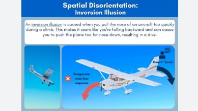 Imagen de la pregunta