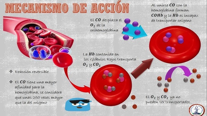 Imagen de la pregunta