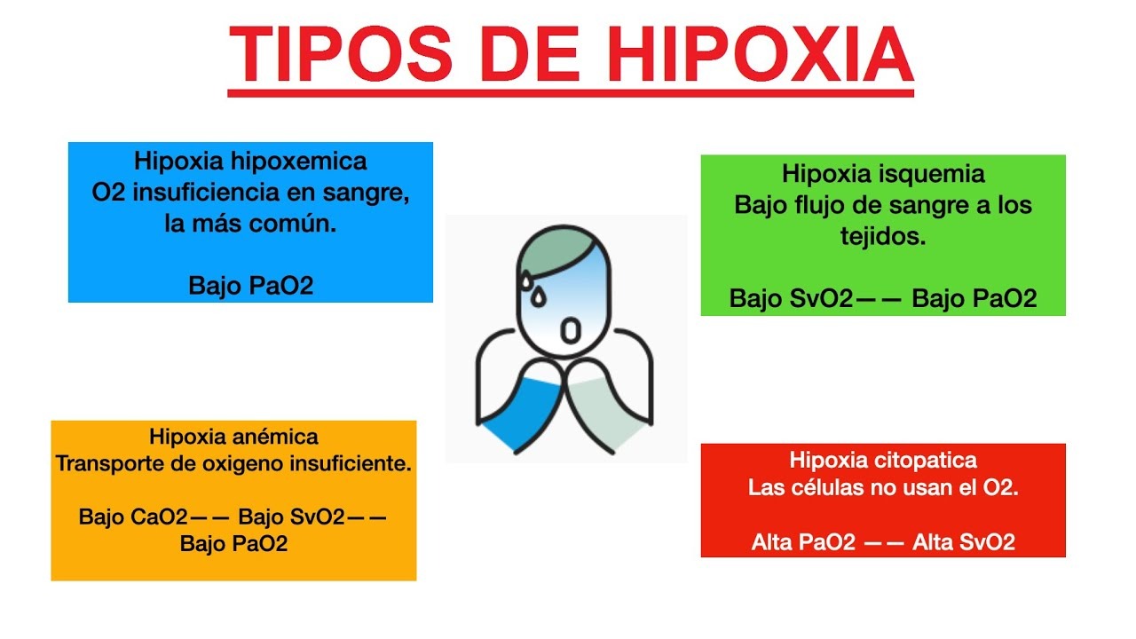 Imagen de la pregunta