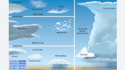 Imagen de la pregunta