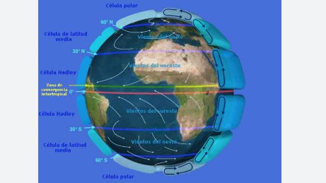 Imagen de la pregunta