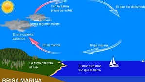 Imagen de la pregunta