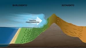 Imagen de la pregunta