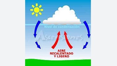 Imagen de la pregunta