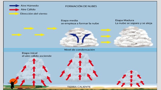 Imagen de la pregunta