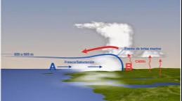 Imagen de la pregunta