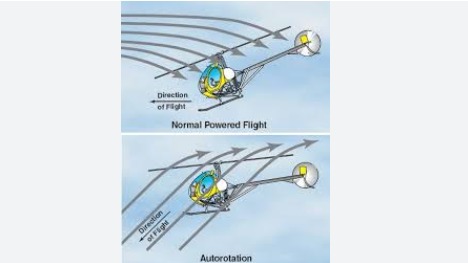Imagen de la pregunta