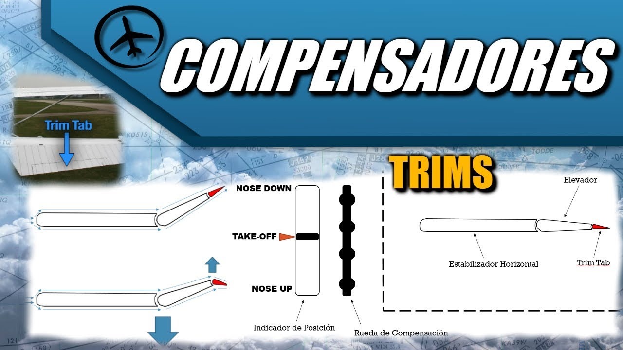 Imagen de la pregunta