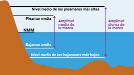Imagen de la pregunta