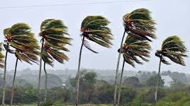 Imagen de la pregunta