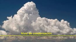 Imagen de la pregunta