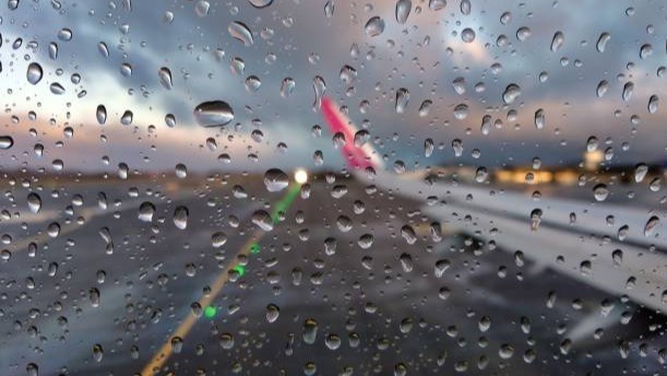 Imagen de la pregunta