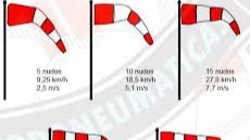 Imagen de la pregunta