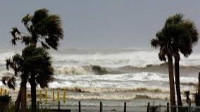 Imagen de la pregunta