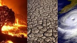 Imagen de la pregunta