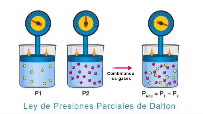 Imagen de la pregunta