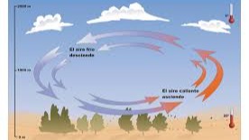 Imagen de la pregunta
